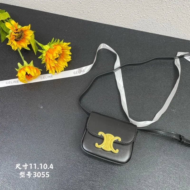 Celine Black Mini Crossbody Bag Model 3055