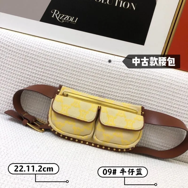 Celine Satchel Bags-668