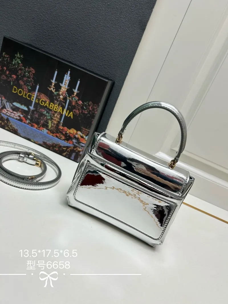 Alternative view of Dolce & Gabbana Silver Handbag Model 6658