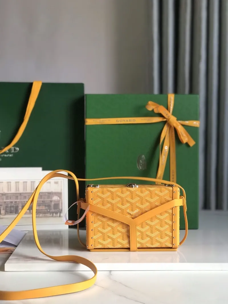 Goyard Box Bags-5