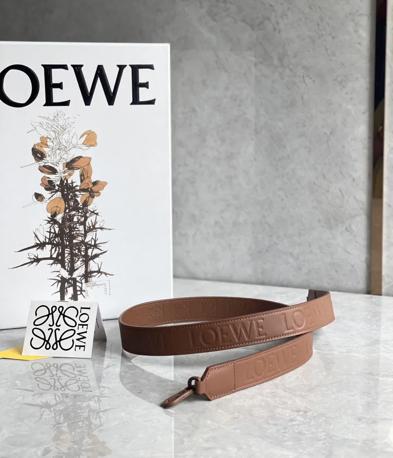 Loewe Handle Bags-110 - Image 5