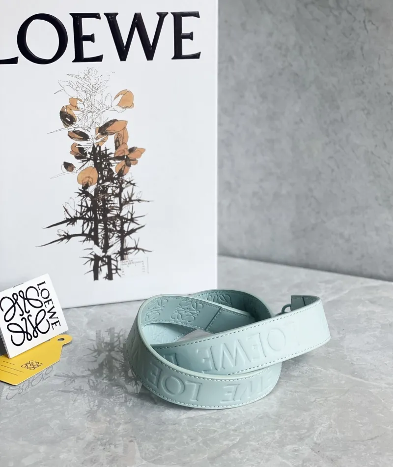 Loewe Handle Bags-116 - Image 8