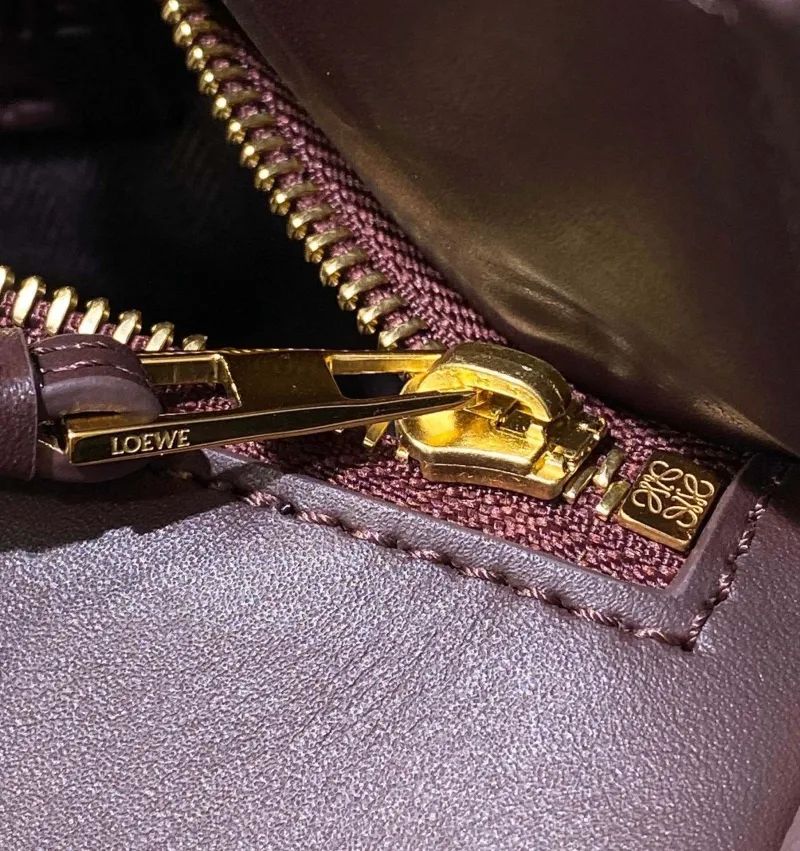 LOEWE Dark Brown Leather Crossbody Handbag - Image 9