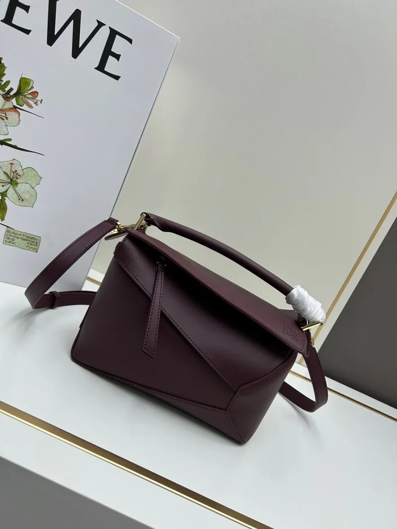 LOEWE 062206 Brown Leather Crossbody Handbag - Image 8