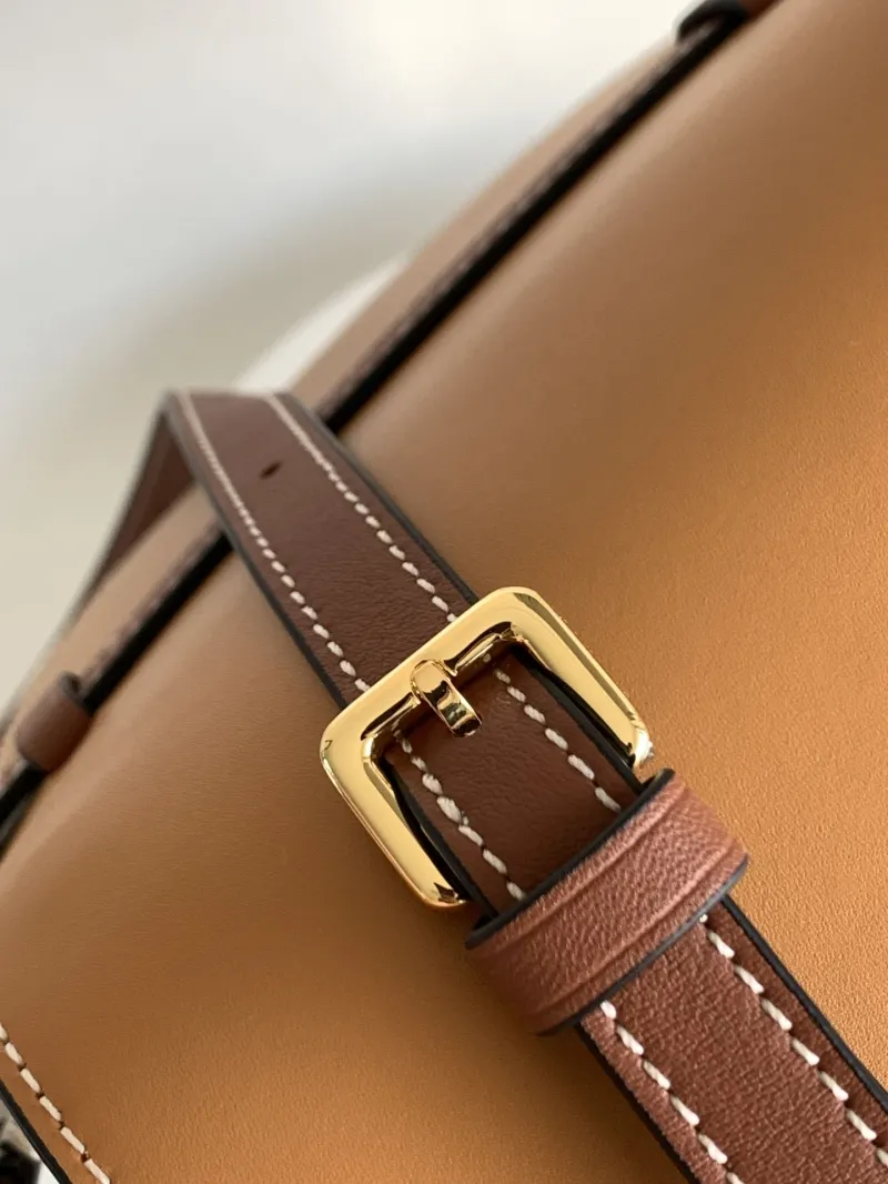 Loewe Tan Gray Saddle Crossbody Bag 451 - Image 6