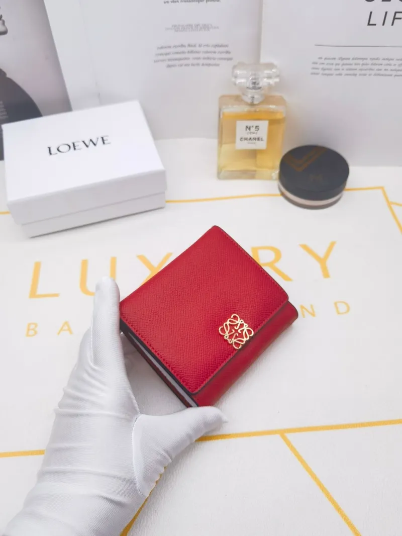 Loewe Wallets-9 - Image 5