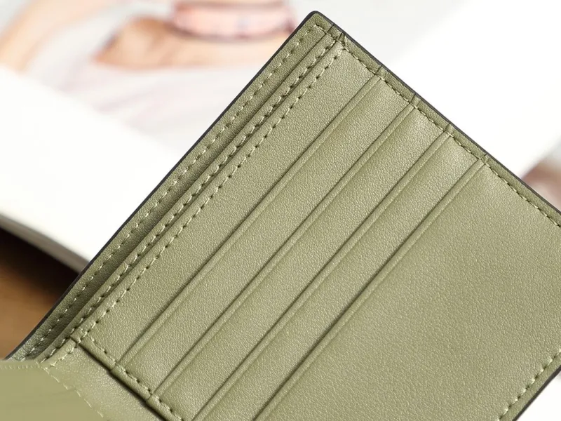 Loewe Wallets-62 - Image 7