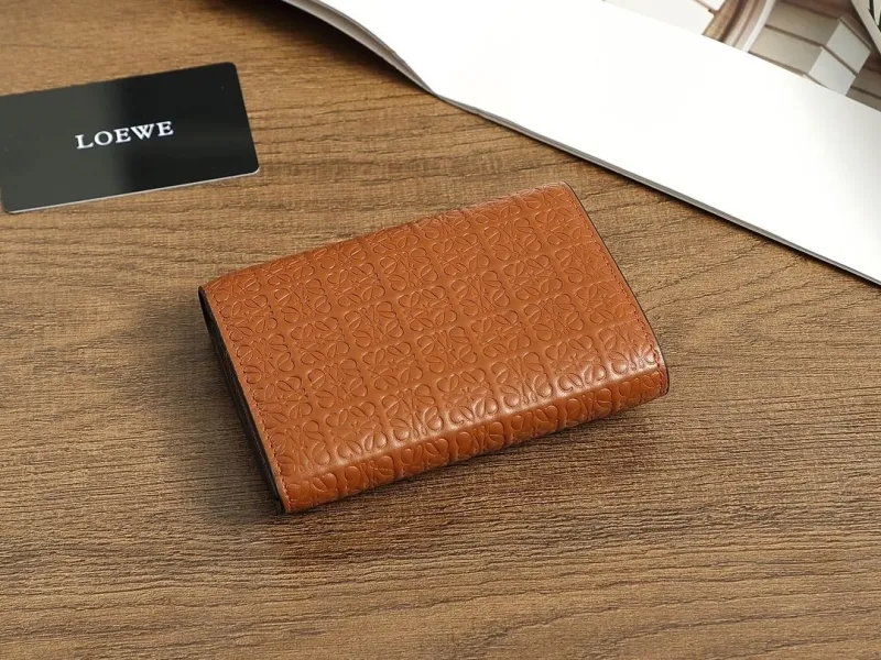 Alternative view of Loewe Wallets-72