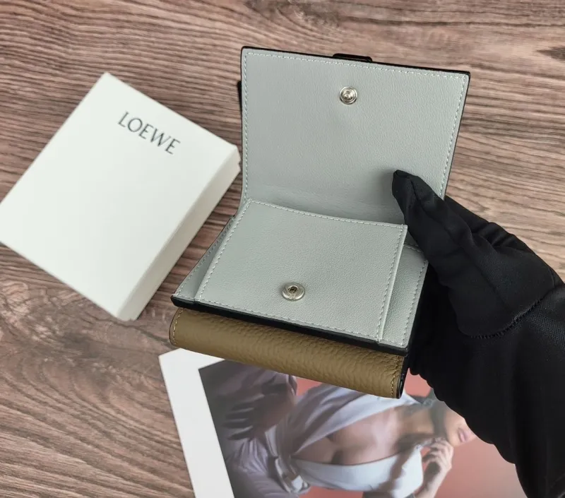 Loewe Wallets-81 - Image 6