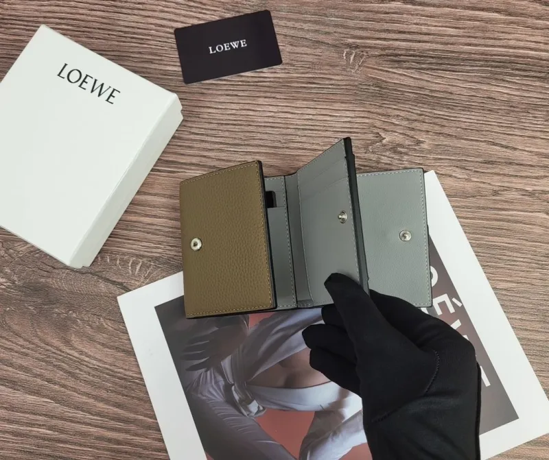 Loewe Wallets-81 - Image 7