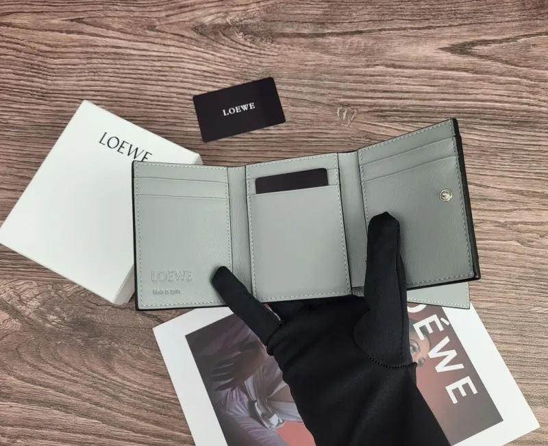 Loewe Wallets-81 - Image 8