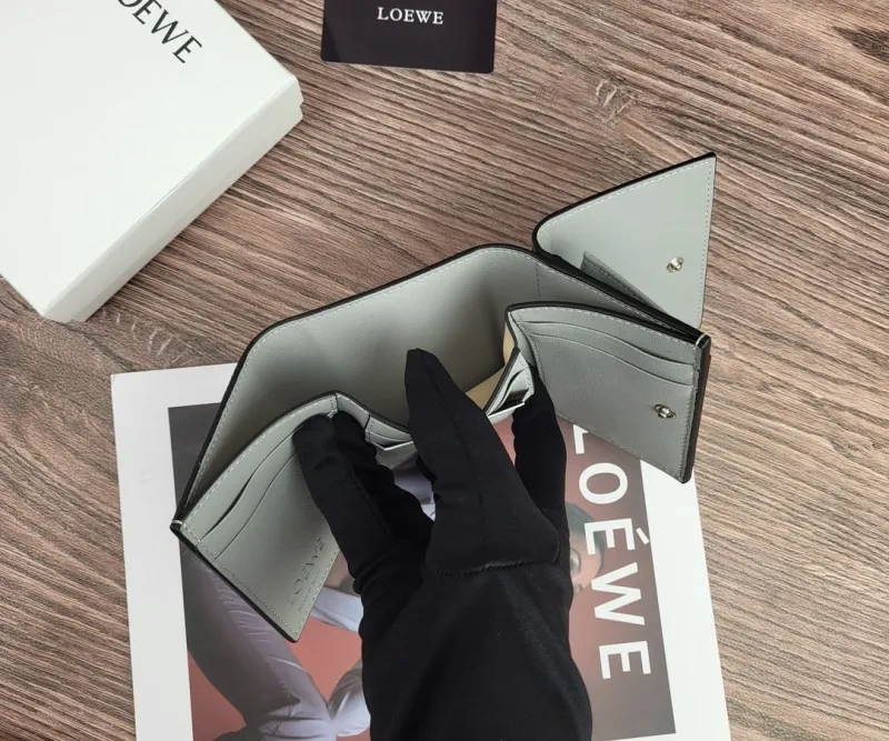 Loewe Wallets-81 - Image 9