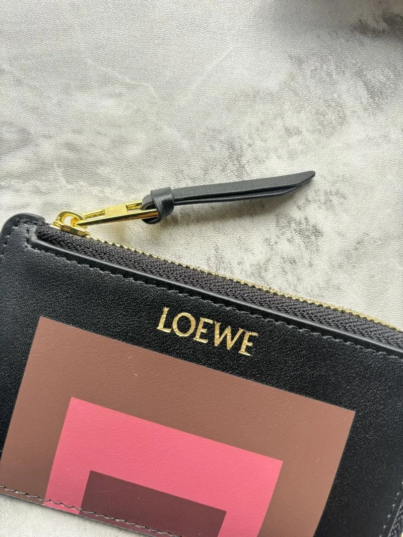 Alternative view of Loewe Wallets-93