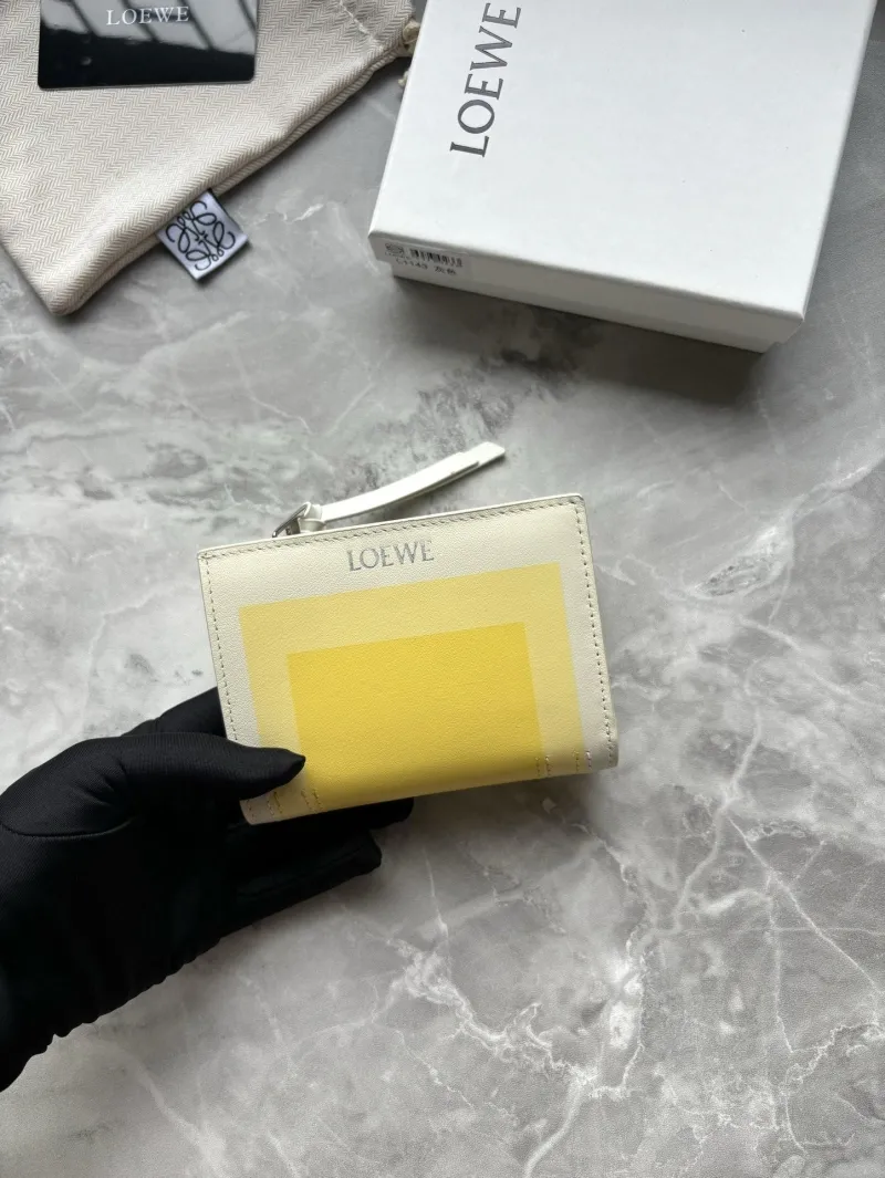 Alternative view of Loewe Wallets-99