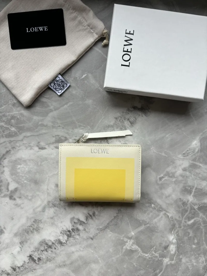 LOEWE Small Yellow Zip Wallet - Image 8