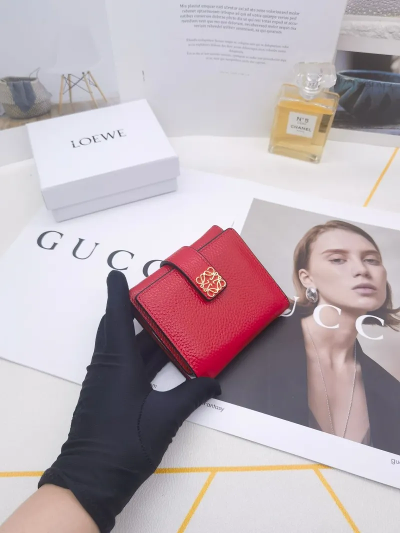 Loewe Wallets-107 - Image 4