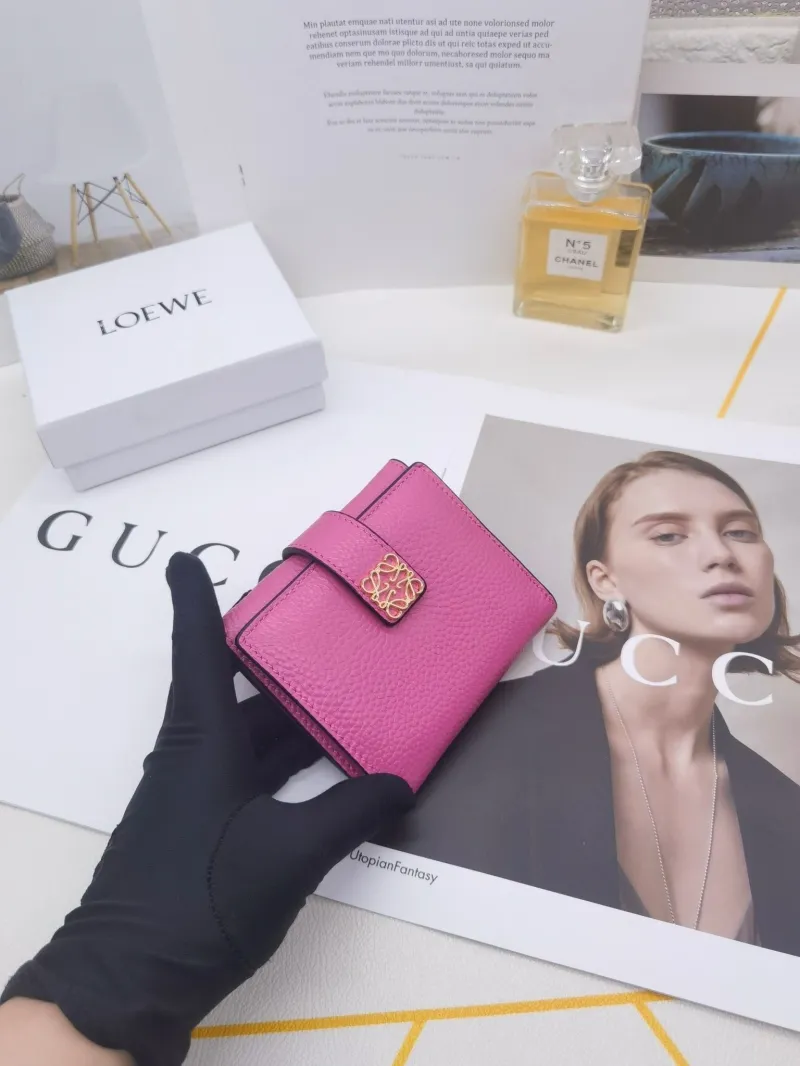 Loewe Wallets-109 - Image 4