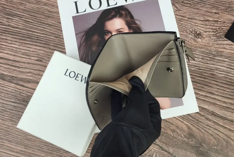 LOEWE Green Gray White Colorblock Zip Wallet - Image 8