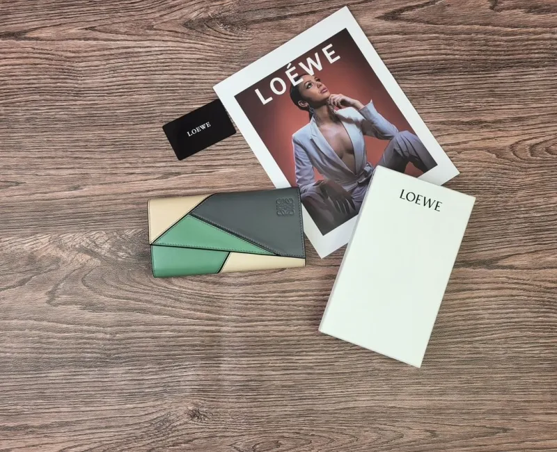 LOEWE Colorblock Leather Long Wallet