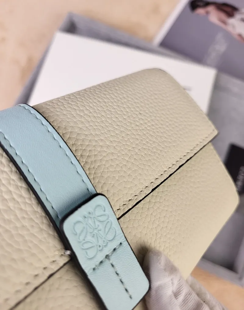 LOEWE Cream Light Blue Long Wallet 214 - Image 6