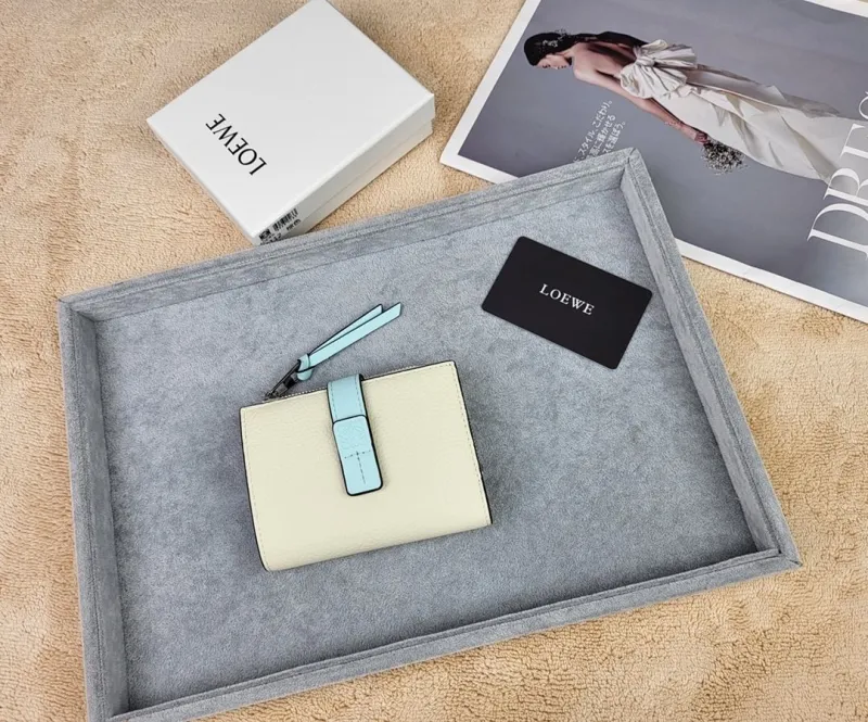 LOEWE Cream Light Blue Small Zip Wallet