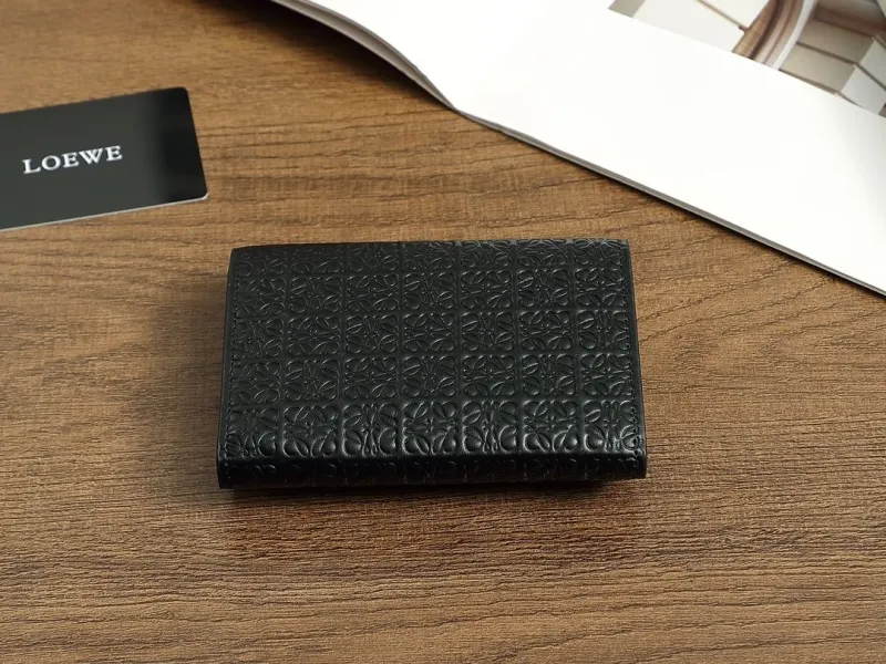 Alternative view of Loewe Wallets-260