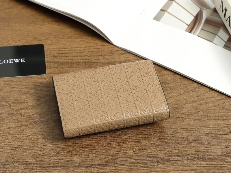 Alternative view of Loewe Wallets-261