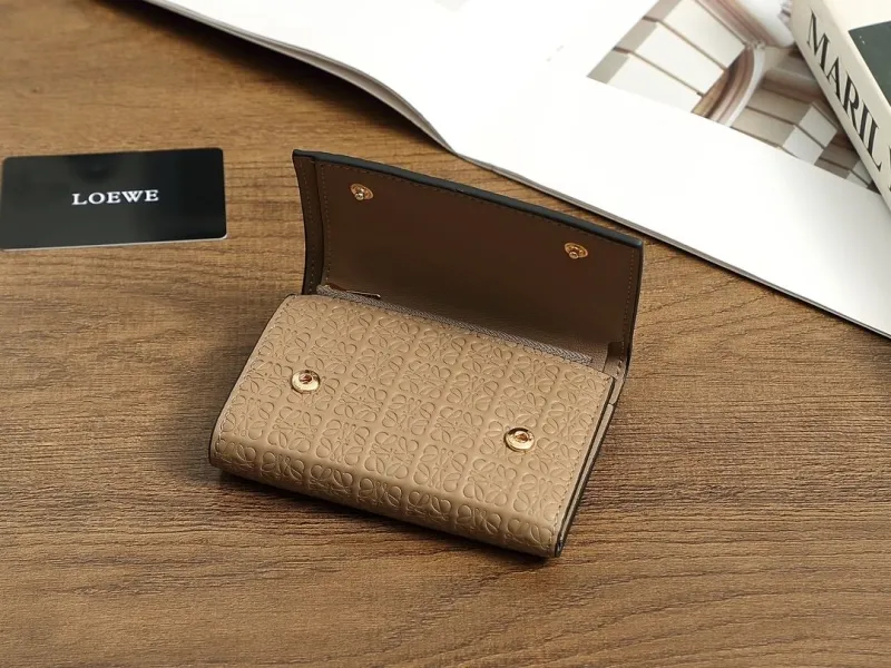 Loewe Wallets-261 - Image 6