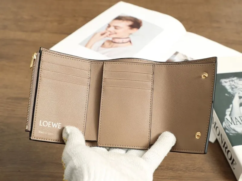 Loewe Wallets-261 - Image 7