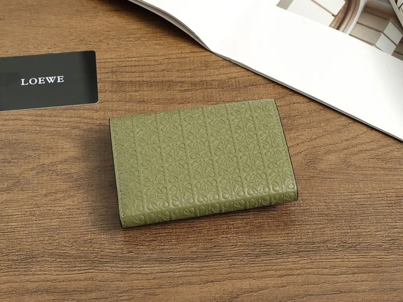 Alternative view of Loewe Wallets-262