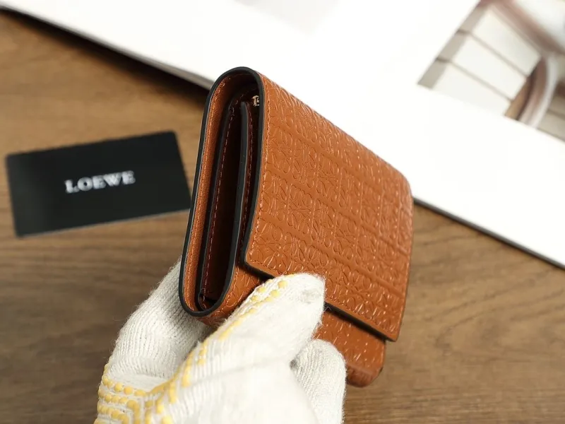 Loewe Wallets-263 - Image 4