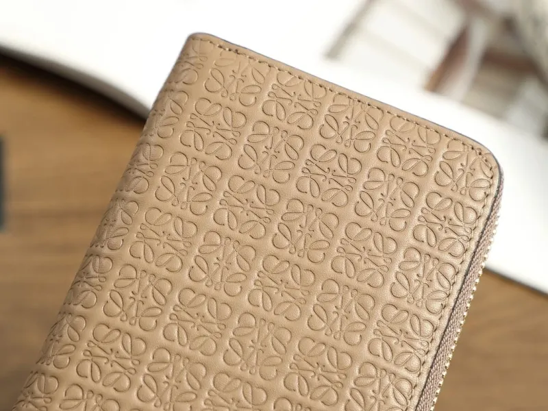 Loewe Wallets-264 - Image 6