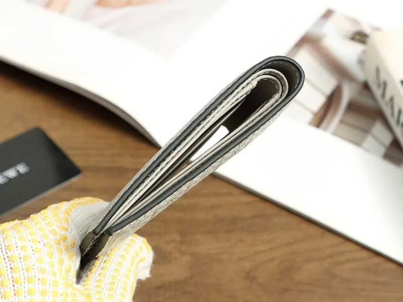 Alternative view of Loewe Wallets-271