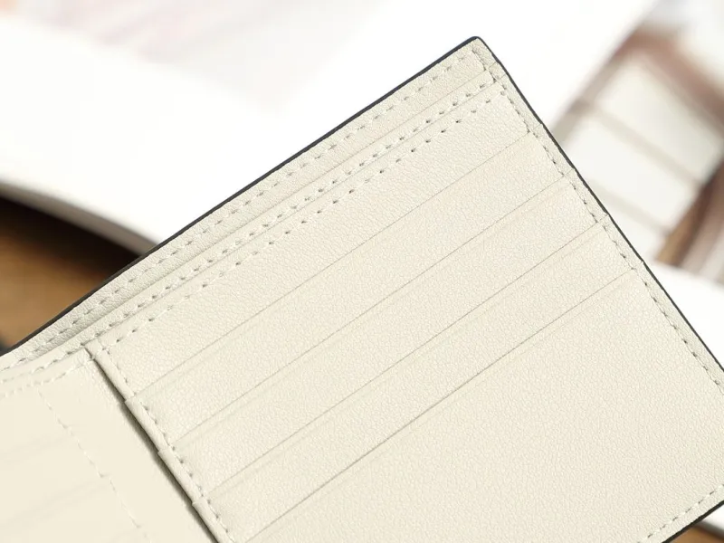 Loewe Wallets-271 - Image 5