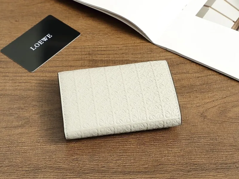 Alternative view of Loewe Wallets-279