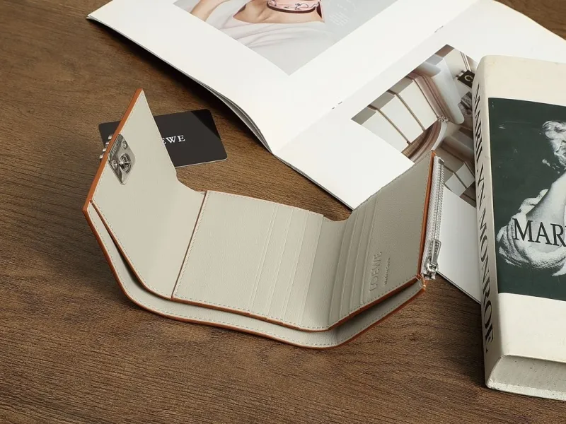 Loewe Wallets-283 - Image 8