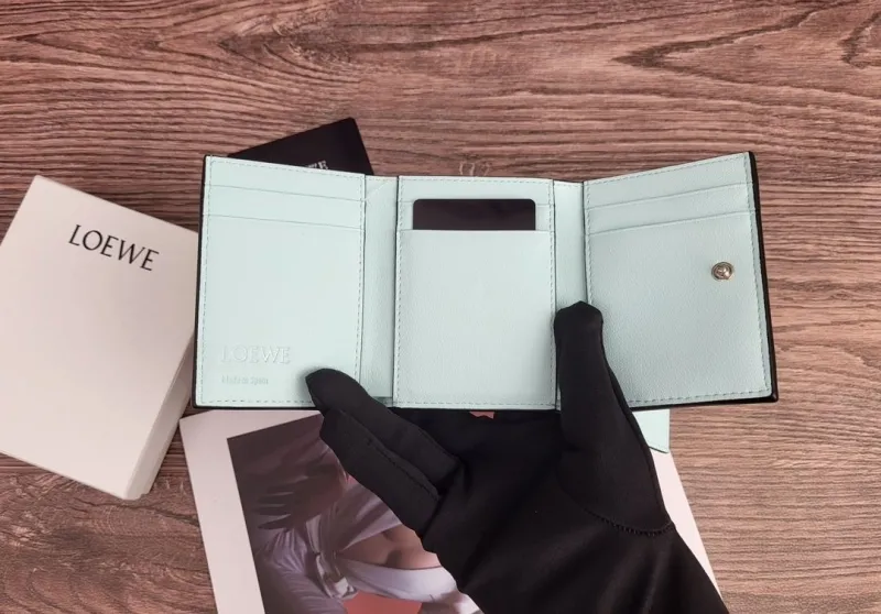 LOEWE Cream Leather Small Wallet 317 - Image 8