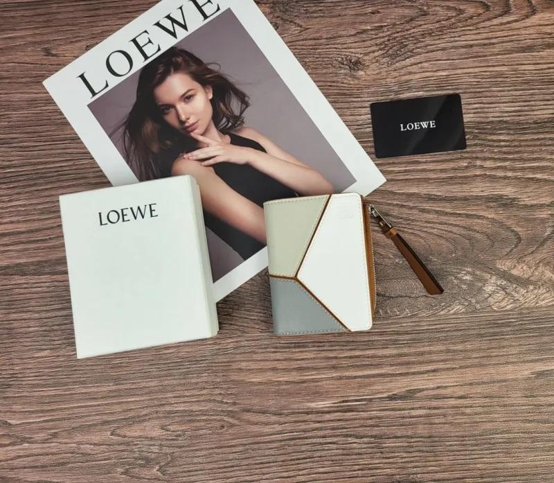 LOEWE Tri-Color Zip Around Wallet