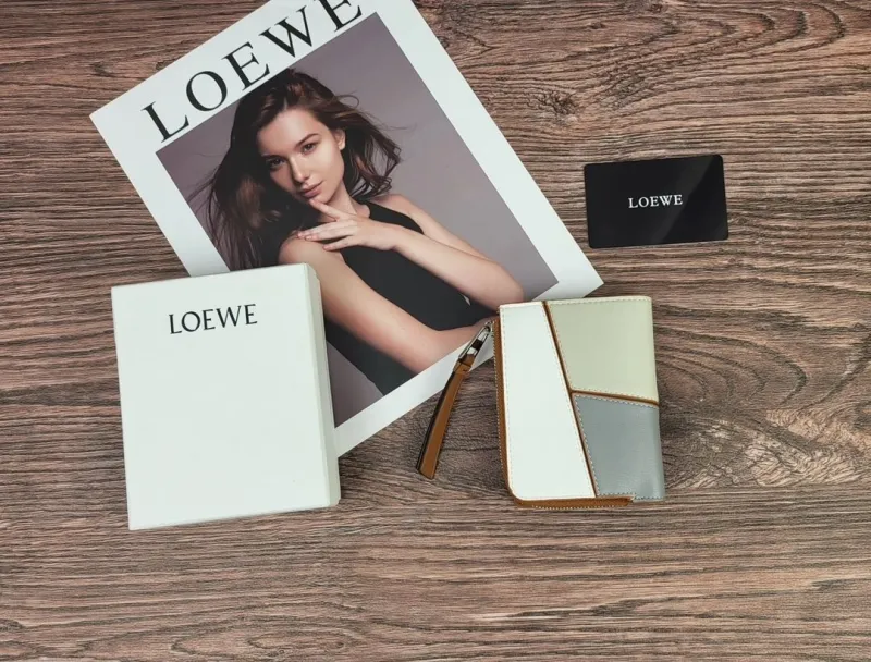 Alternative view of LOEWE Tri-Color Zip Around Wallet