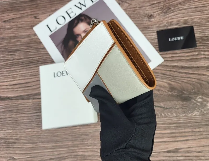 LOEWE Tri-Color Zip Around Wallet - Image 5