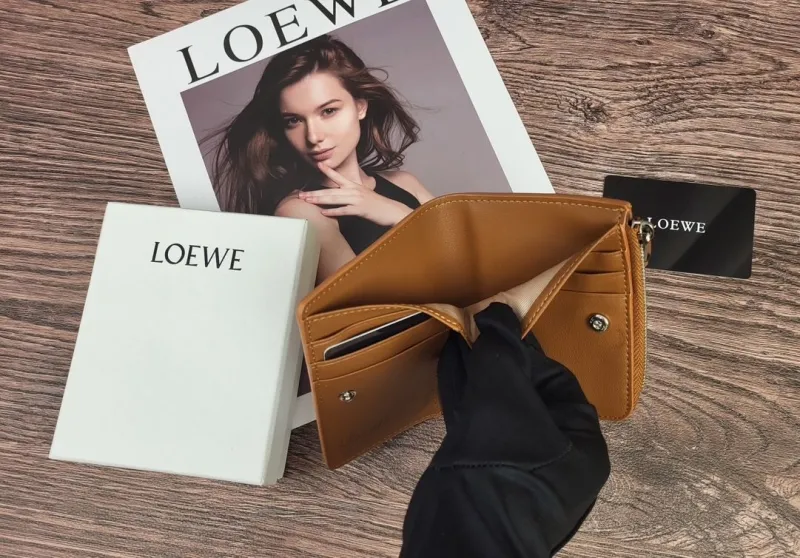 LOEWE Tri-Color Zip Around Wallet - Image 8