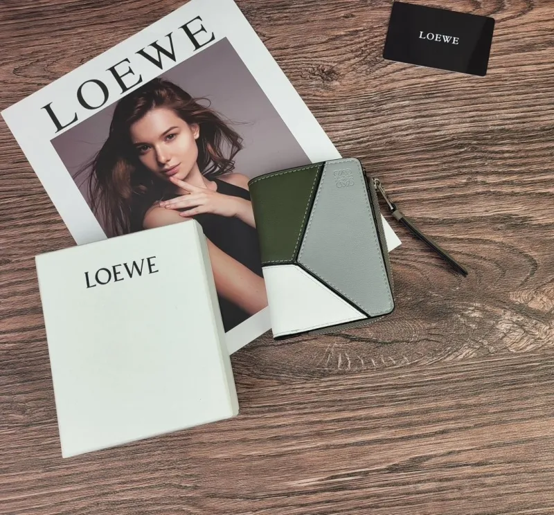 LOEWE Green Gray White Leather Zip Wallet