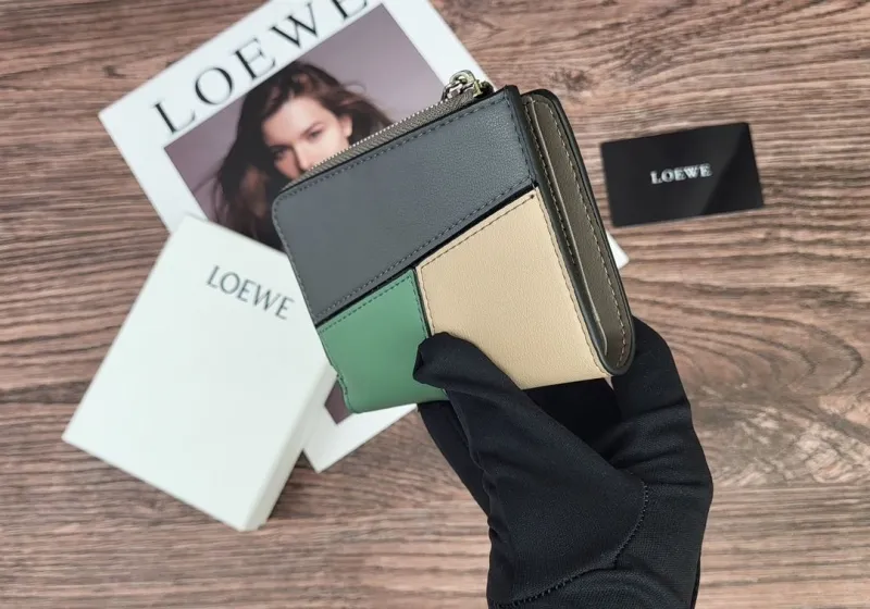 LOEWE Beige Green Gray Colorblock Leather Zip Wallet - Image 5