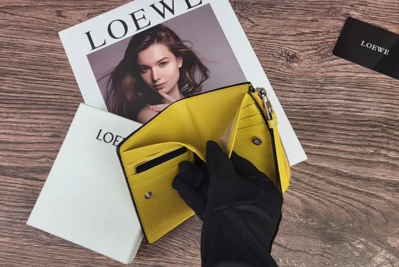 LOEWE 323 Color Block Zip Wallet Yellow Gray Pink - Image 8