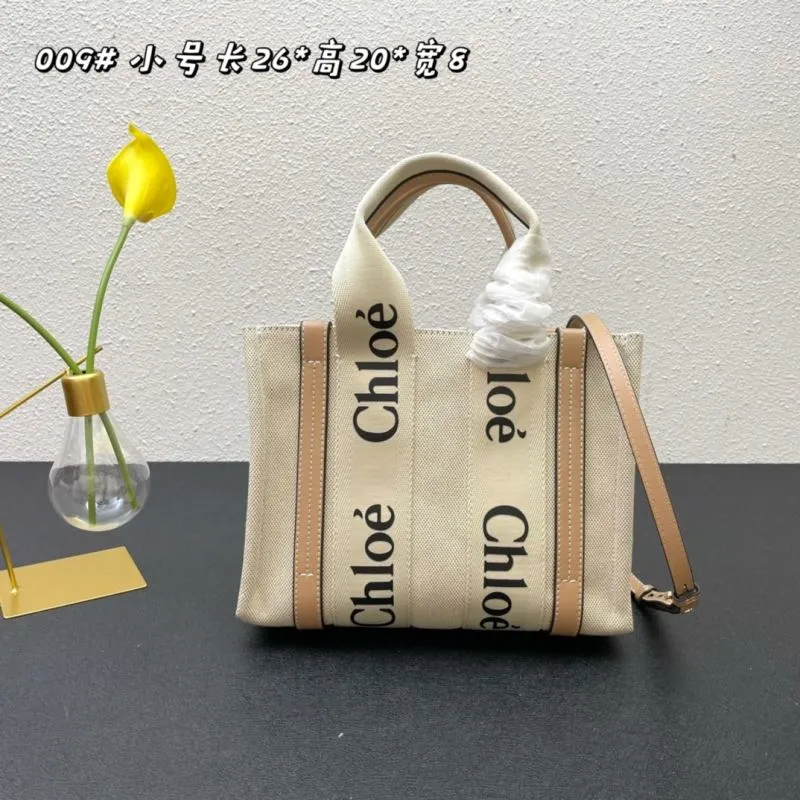 Chloe Shopping Bags-7
