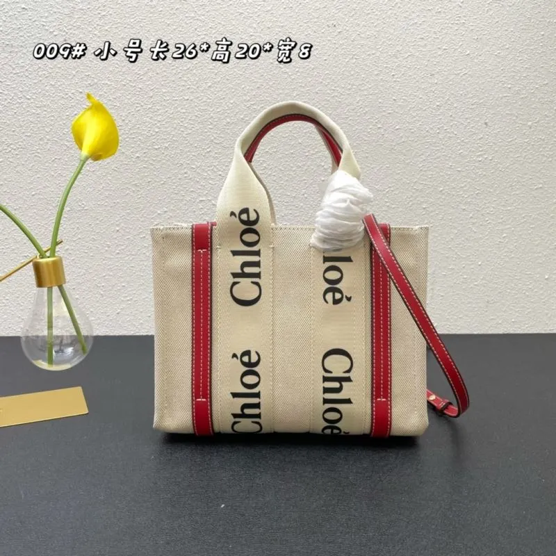 Chloe Shopping Bags-8