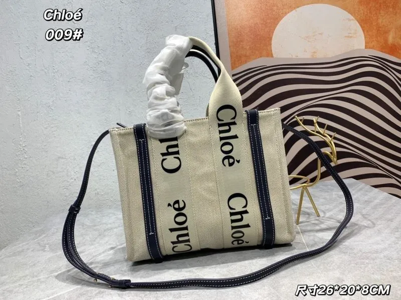 Chloe Shopping Bags-15