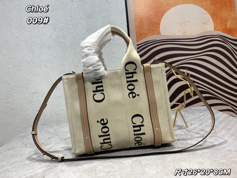 Chloe Shopping Bags-16