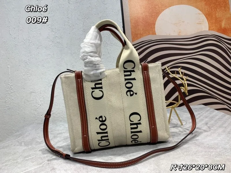 Chloe Shopping Bags-17