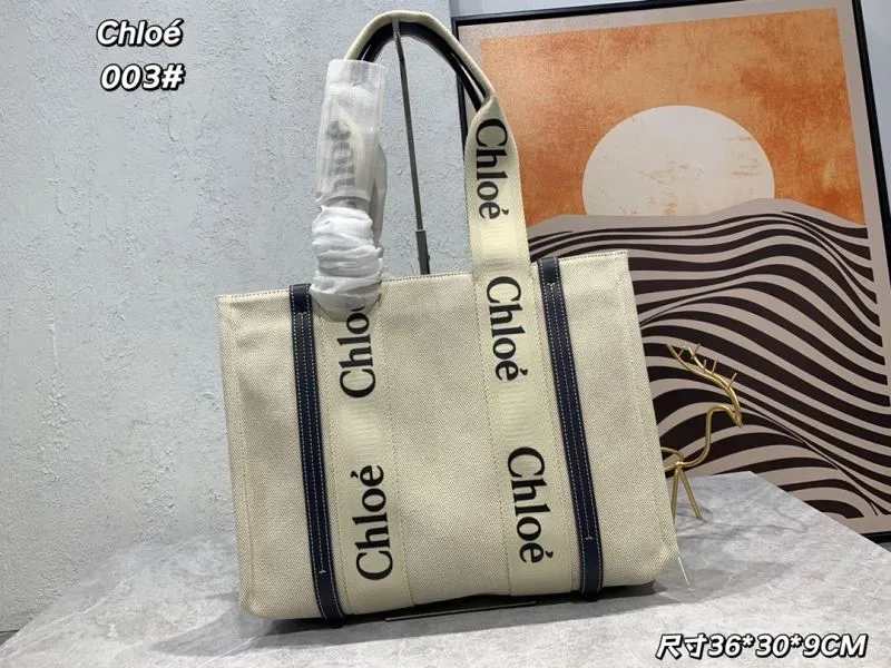 Chloe Shopping Bags-20